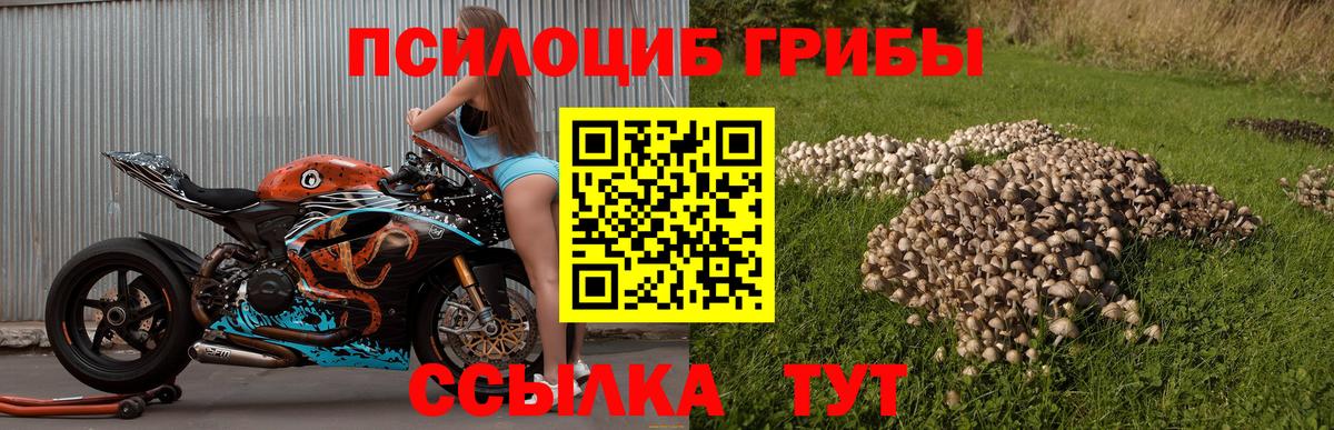 Галлюциногенные грибы ЛСД  Вход с VPN  Тула 