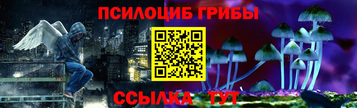 Псилоцибиновые грибы ЛСД Тула